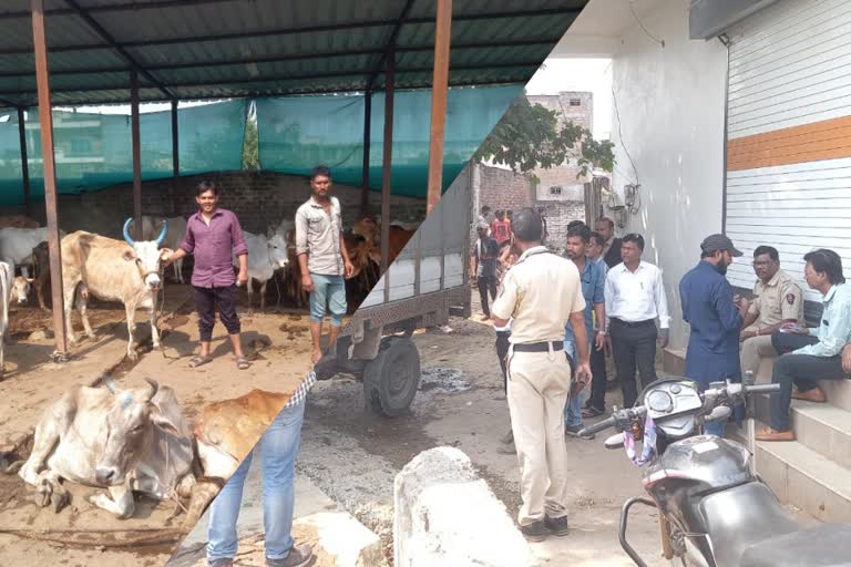 Amravati Animals Rescued