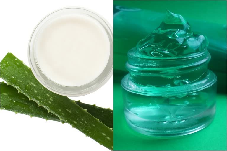 Aloe vera News