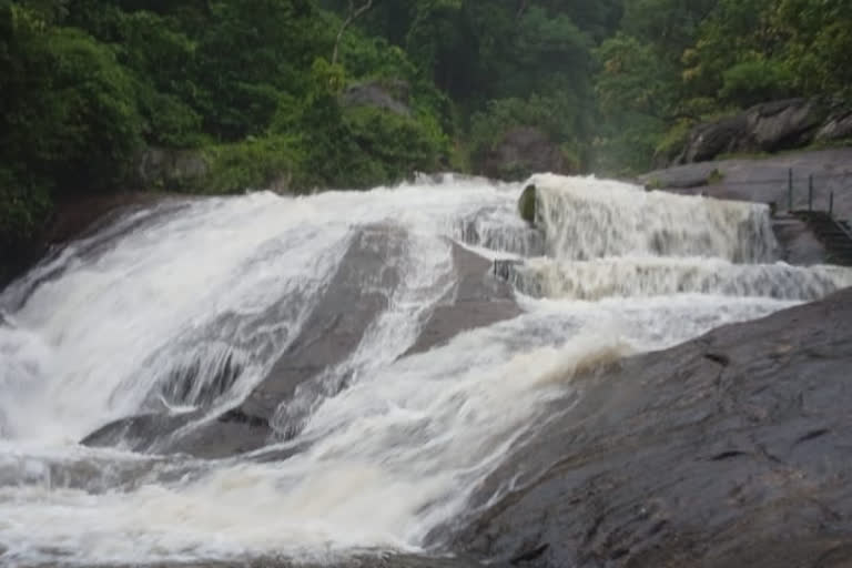 Flooding at Coimbatore Courtalam Falls and Denial of entry to tourists