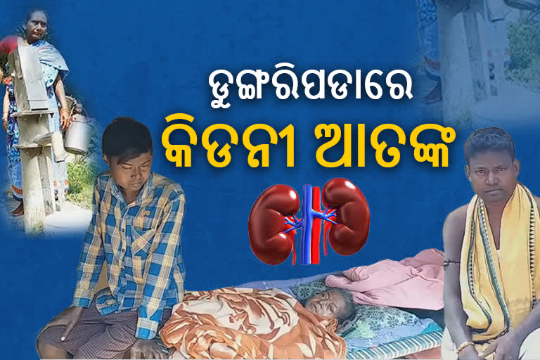 କିଡନୀ ରୋଗର ପେଣ୍ଠସ୍ଥଳୀ ଡୁଙ୍ଗରିପଡ଼ା