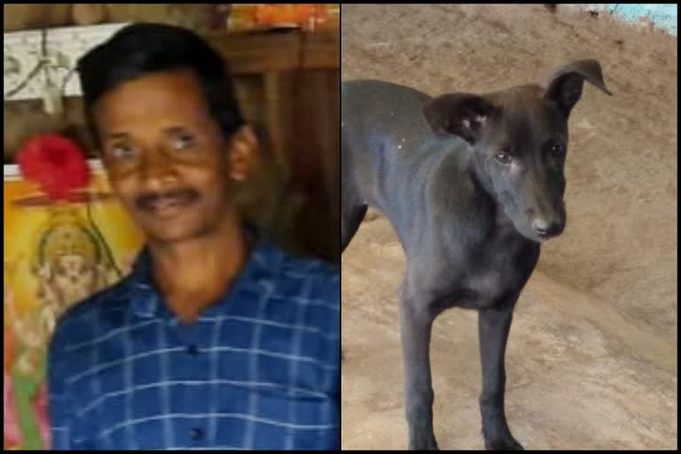 dog that saved its owners life in Shimoga