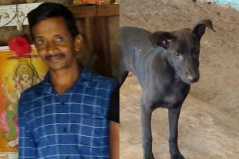 A Dog Saves his owner Life in karnataka