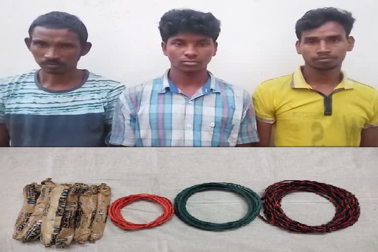 Naxalite arrested with explosives in Bijapur