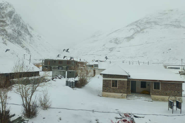 vehicles movement stopped from Atal Tunnel due to snowfall in lahaul spiti. tourist reached lahaul spiti to enjoy snowfall.