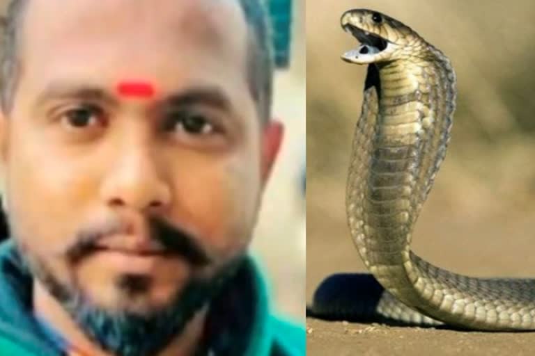 snake catcher died in nashik