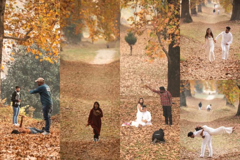 Pre wedding shoots in Kashmir