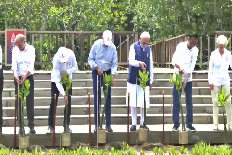 G20 Leaders Visit Mangrove Forest In Bali