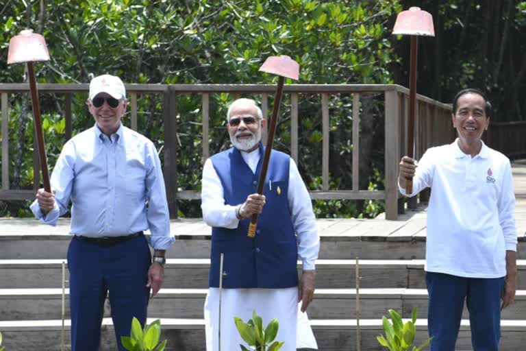 PM Modi plants mangroves in Taman Hutan Raya Ngurah Rai mangrove forest in Bali