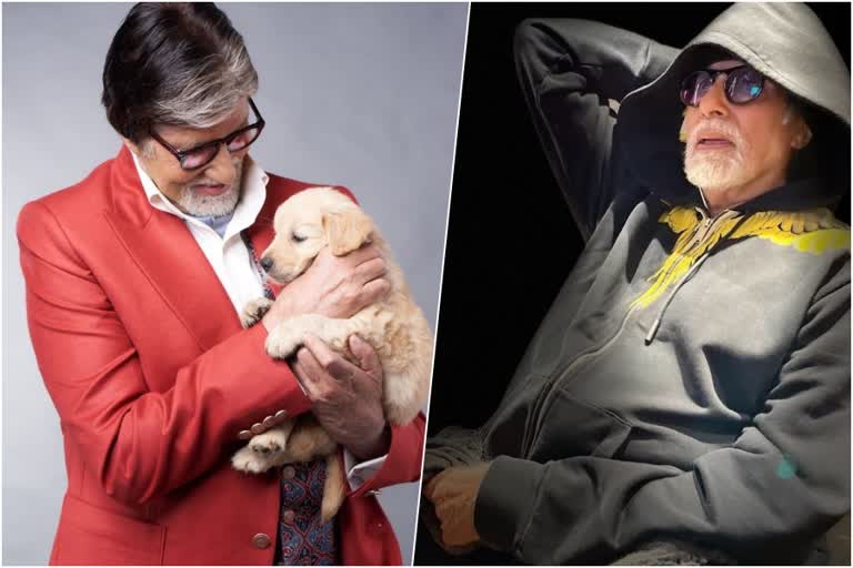 Amitabh Bachchan pens moving note  Amitabh Bachchan  Amitabh Bachchan pens  Big B pens emotional note  Amitabh Bachchan mourns the death of his pet  Big B  വികാര നിര്‍ഭര കുറുപ്പുമായി ബിഗ്‌ ബി  കുറുപ്പുമായി ബിഗ്‌ ബി  ബിഗ്‌ ബി  Amitabh Bachchan pens emotional note  അമിതാഭ്‌ ബച്ചന്‍  ബ്രിട്ടീഷ് ഇനത്തില്‍ പെടുന്ന ലാബ്രഡോർ  ലാബ്രഡോർ  Amitabh Bachchan Instagram post on pet  Amitabh Bachchan shares a pic with his pet  Fans commented on Amitabh Bachchan post  Amitabh Bachchan latest movies