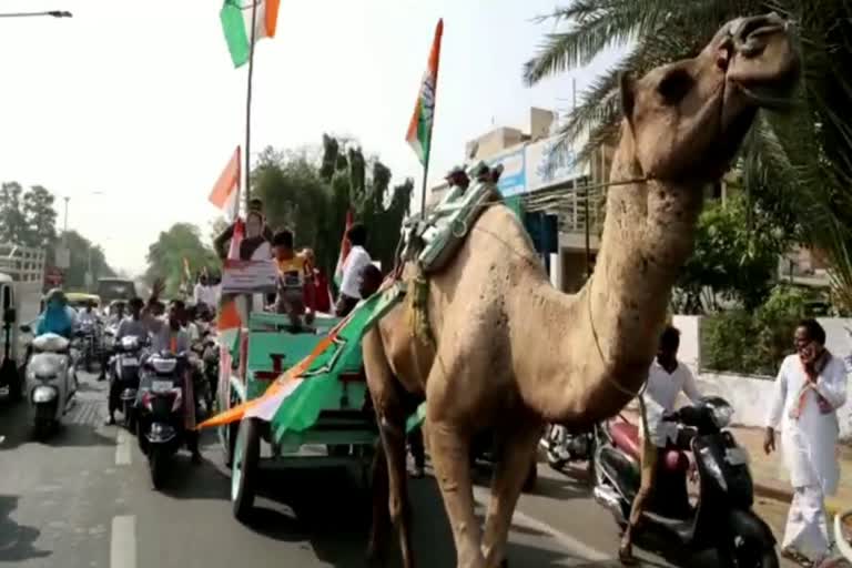 congress candidate  file nomination on a camel cart  camel cart  camel cart rally of congress candidate  Gujarat assembly elections  assembly election  Vijay Brahmabhatt  inflation  latest news in gujarat  latest national news  latest news today  ബിജെപിക്കെതിരെ പ്രതിഷേധം  ഒട്ടകസവാരിക്കൊപ്പം ഗ്യാസ് സിലിണ്ടറുമായി  ഒട്ടകസവാരി  കോണ്‍ഗ്രസ് സ്ഥാനാര്‍ഥിയുടെ പത്രിക സമര്‍പ്പണ റാലി  വിലക്കയറ്റത്തിനെതിരെ  ബിജെപി  വിജയ് ബ്രഹ്മാബട്ട്  ഗുജറാത്ത് ഏറ്റവും പുതിയ വാര്‍ത്ത  ഏറ്റവും പുതിയ ദേശീയ വാര്‍ത്ത  ഇന്നത്തെ പ്രധാന വാര്‍ത്ത