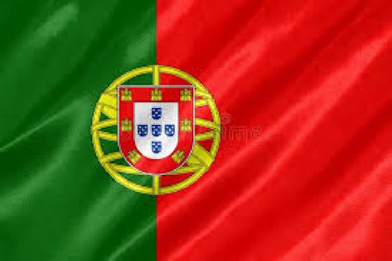 one arrested for destroying portuguese flag