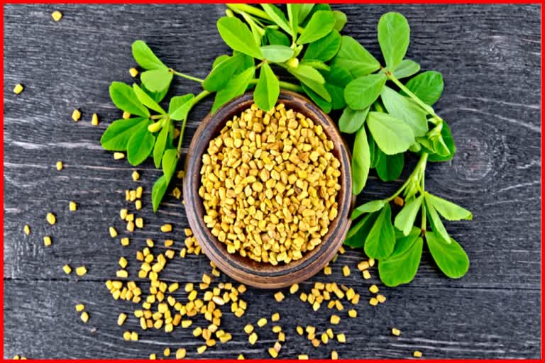 Benefits of Fenugreek Leaves