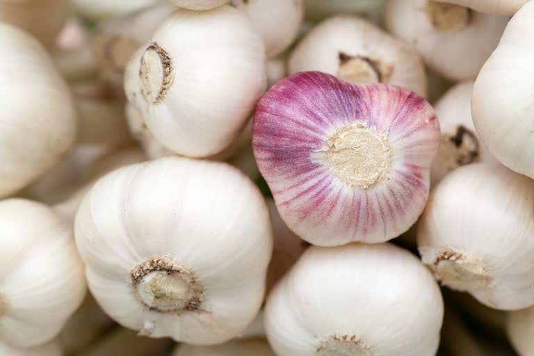 Some health benefits of Garlic