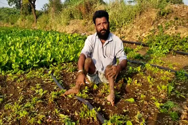 Kalburgi disabled farmer model to others