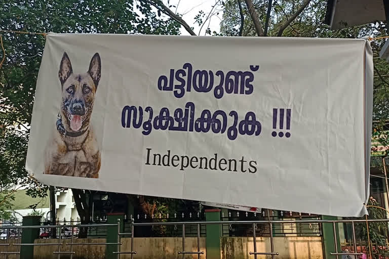 stray dog attack in gov medical college kozhikode  dog attack in kozhikode  stray dog attack  തെരുവുനായ ആക്രമണം  ഗവ മെഡിക്കല്‍ കോളജിലെ തെരുവുനായ ആക്രമണം  തെരുവുനായ ആക്രമണത്തിൽ പ്രതിഷേധം  കോഴിക്കോട് ഗവ മെഡിക്കൽ കോളജിൽ തെരുവ്നായ ആക്രമണം  തെരുവുനായ ആക്രമണം കോഴിക്കോട്  തെരുവുനായയുടെ ആക്രമണത്തിൽ പ്രതിഷേധം  ഇൻഡിപെൻഡൻസ് സംഘടന