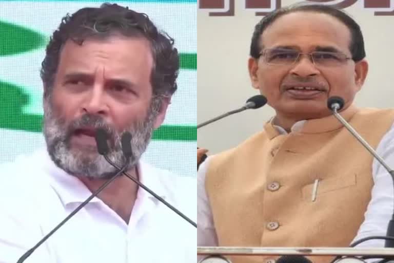 shivraj statement on rahul in gujarat