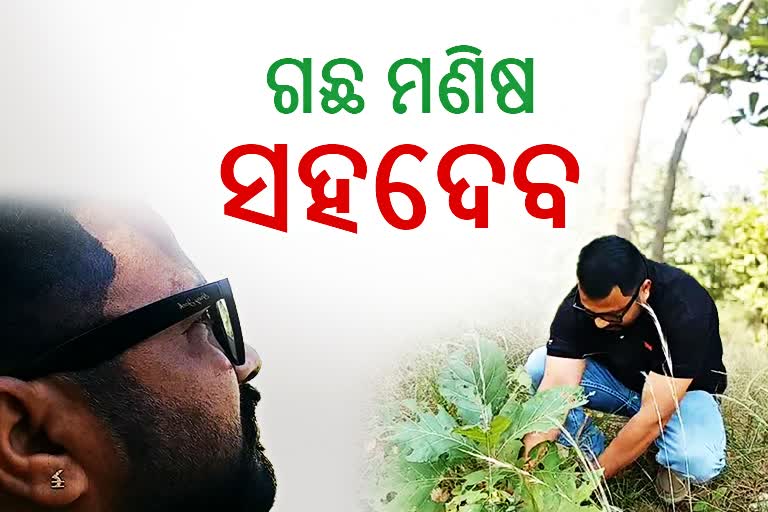 balangir forest man sahadev pradhan