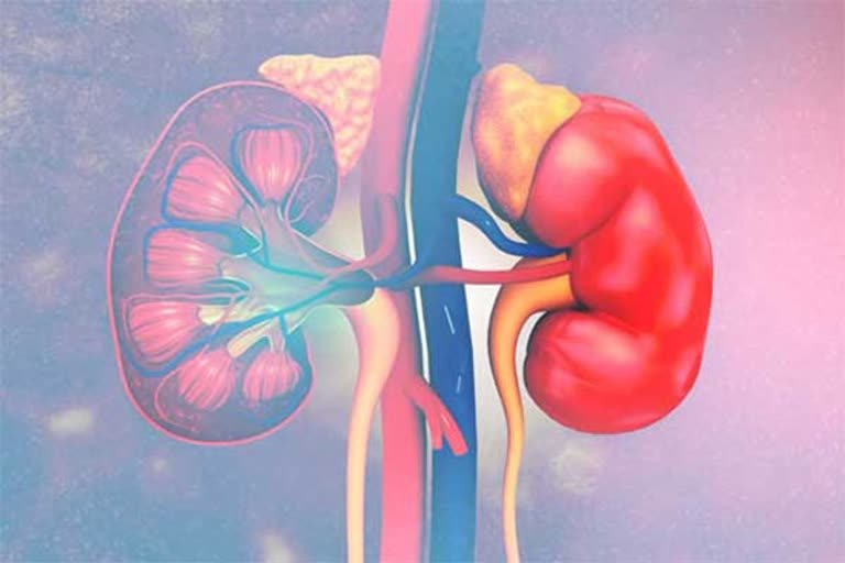 ckd diagnosis test found by japanese doctors