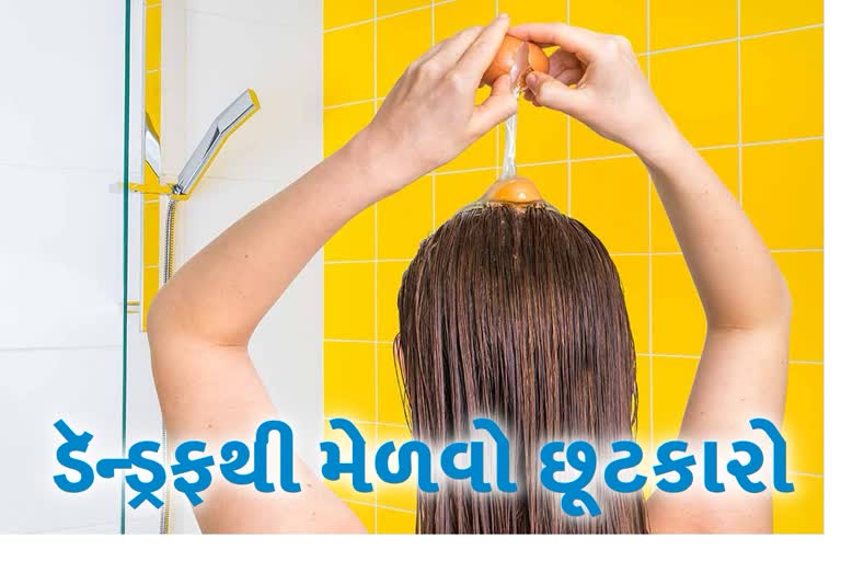 Etv Bharatશિયાળો આવતા જ ડૅન્ડ્રફ તમને પરેશાન કરે છે? આ રીતે ઈંડાનો ઉપયોગ કરવાથી છુટકારો મેળવો