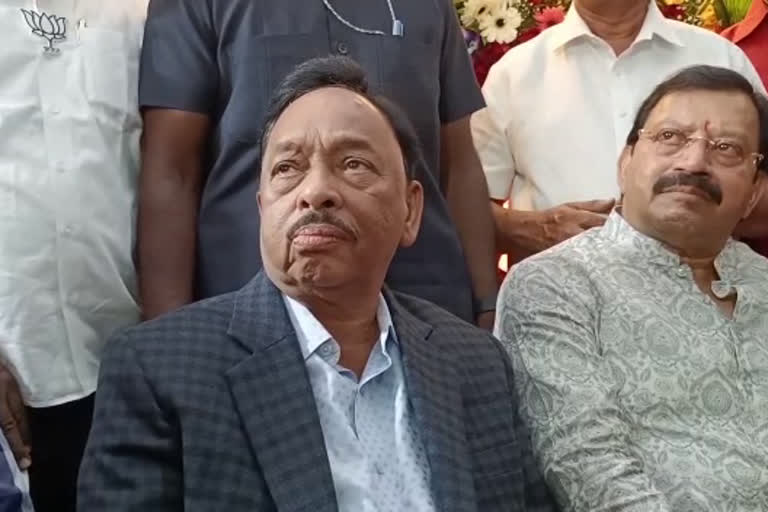 Narayan Rane