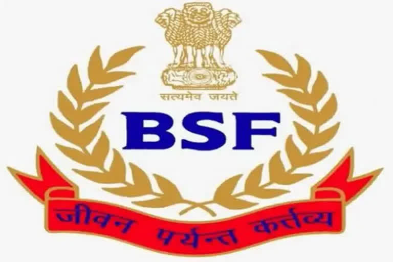 BSF jawan found dead