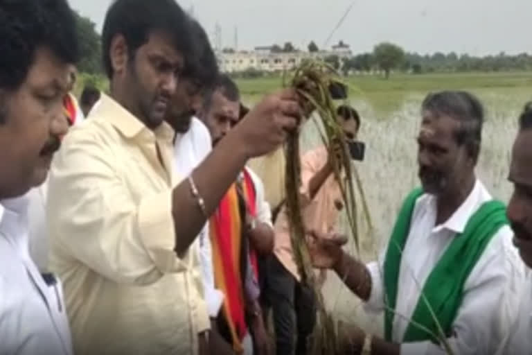 மழை காலத்தில் திமுகவின் செயல்பாடுகள் வரவேற்கும் வகையில் உள்ளது