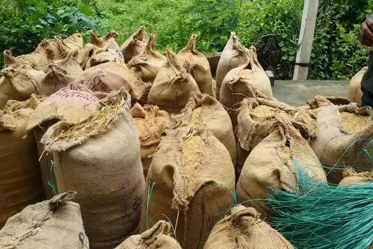 farmers worried about not selling paddy in sambalpur