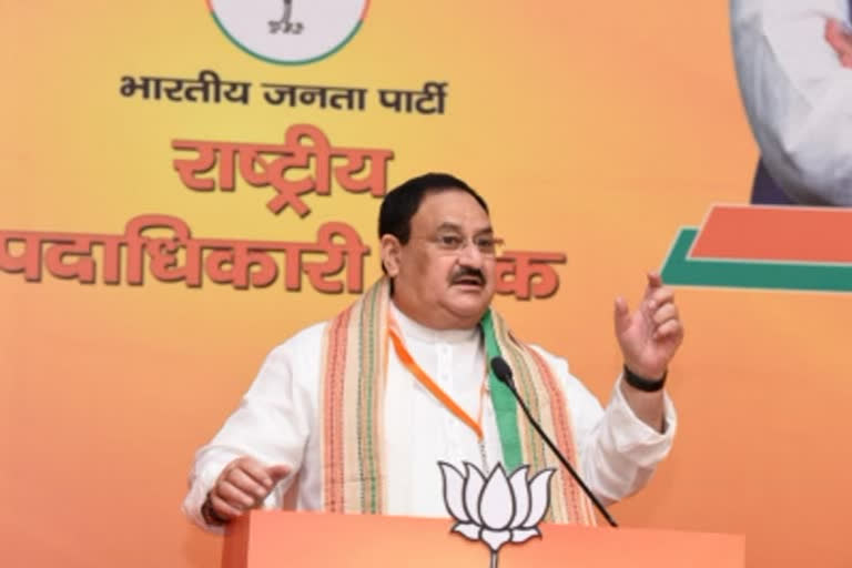 BJP chief Nadda Union ministers to take part in road shows on Sunday