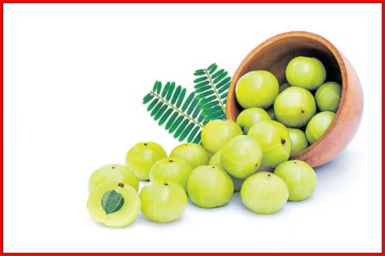 Gooseberry benefits