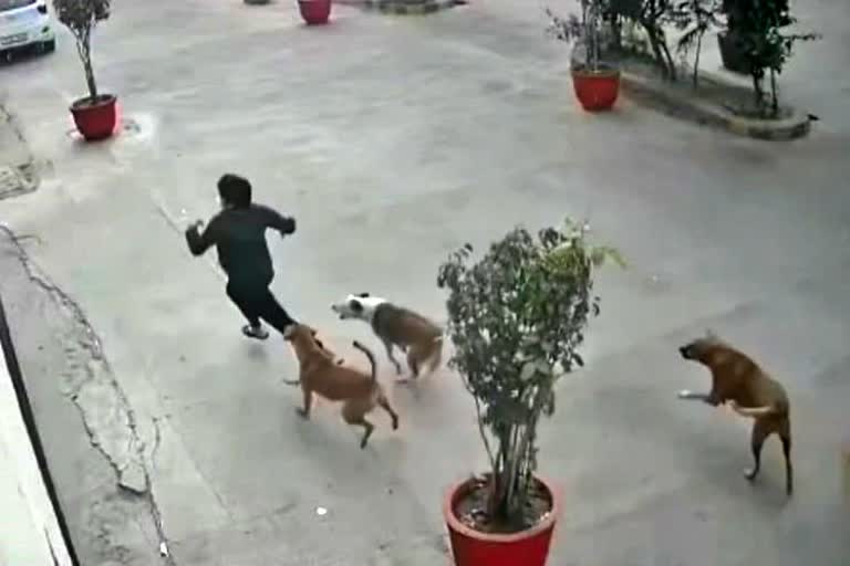 watch-live-video-of-attack-on-girl-child-in-ghaziabad