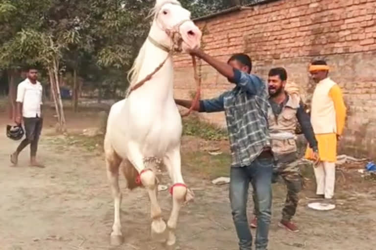 विश्व प्रसिद्ध सोनपुर मेला