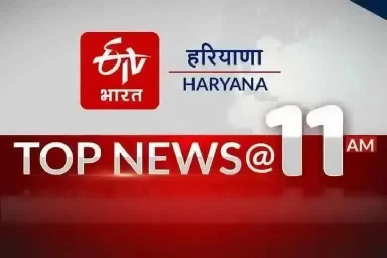 haryana top ten news till 11 am