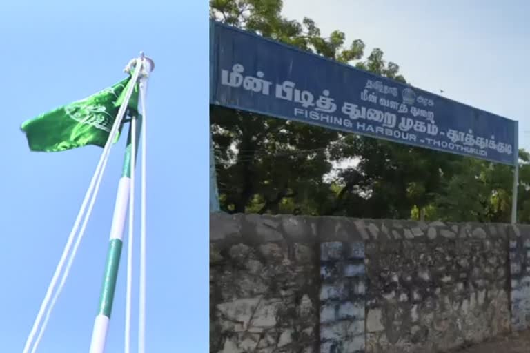 சர்வதேச மீனவர் நாள் கொண்டாட்டம்