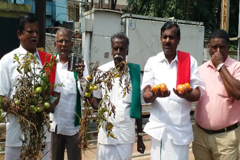 குறைந்த விலையில் தக்காளி வழங்கிய விவசாயிகள்..