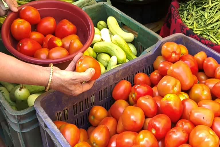 Tomato Price Crash