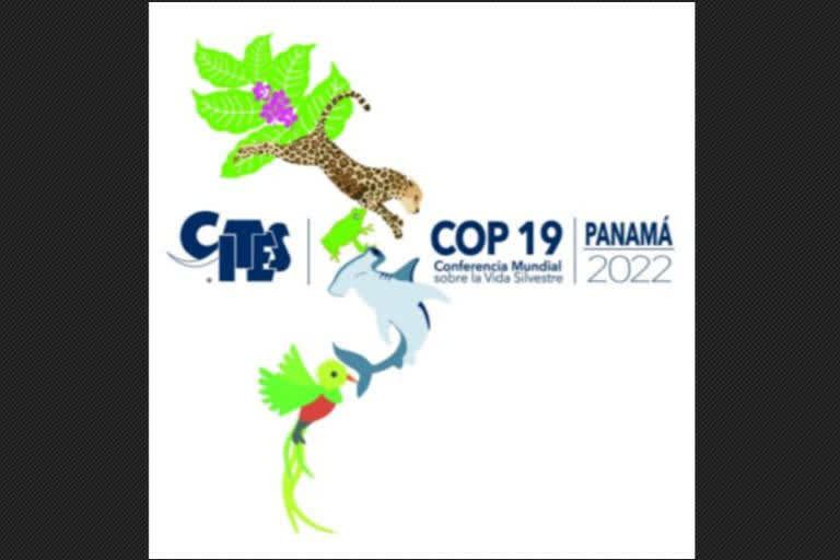 Huge relief to handicraft exporters of India in Cites Cop-19