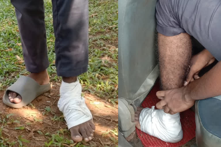 Stray dog attack several injured kottayam kadanadu  ആറുപേർക്ക് പേപ്പട്ടിയുടെ കടിയേറ്റു  പേവിഷബാധയുള്ള പട്ടിയുടെ ആക്രമണത്തിന് ഇര  കടനാട്  കടനാട് സെന്‍റ് സെബാസ്റ്റ്യൻസ് ഹയർ സെക്കൻഡറി  പേപ്പട്ടിയുടെ കടിയേറ്റു  കോട്ടയം  Stray dog attack kottayam  kottayam kadanadu