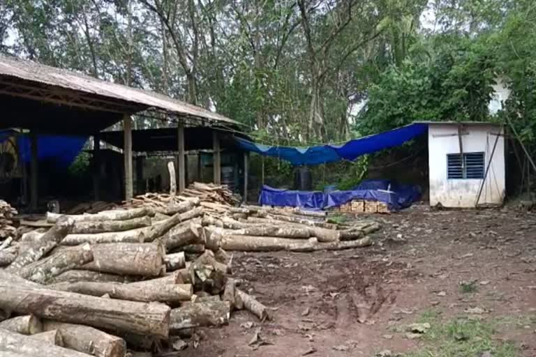 തടിമില്ലിൽ സെക്യൂരിറ്റി ജീവനക്കാരനെ മരിച്ച നിലയിൽ കണ്ടെത്തി  security man found dead  കോട്ടയം  ചിങ്ങവനം പൊലീസ്  Kottayam news  കോട്ടയം വാര്‍ത്തകള്‍  Kerala news