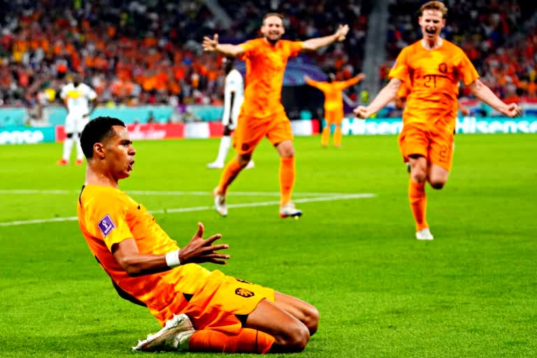 Netherlands Strikes Late to Beat Senegal 2-0 at Fifa World Cup 2022