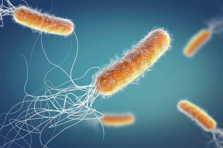 Five bacteria types claimed 6.8 lakh lives in India in 2019: Lancet study