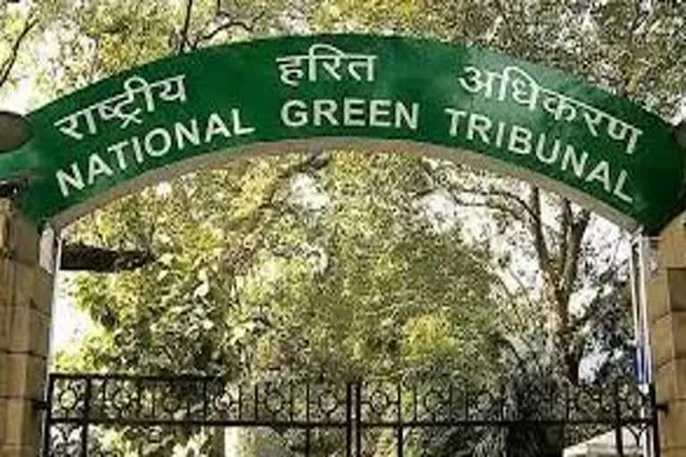 NGT comment on Jharkhand