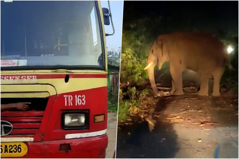 elephant ksrtc bus attack  ksrtc  malakkappara  malakkappara wild elephant attack  മലക്കപ്പാറ  ഒറ്റയാൻ  കെഎസ്‌ആർടിസി  അമ്പലപ്പാറ  കെഎസ്‌ആര്‍ടിസി ബസിന് നേരെ കാട്ടാന ആക്രമണം