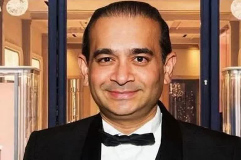 Etv Bharat Nirav Modi seeks permission to appeal in SC