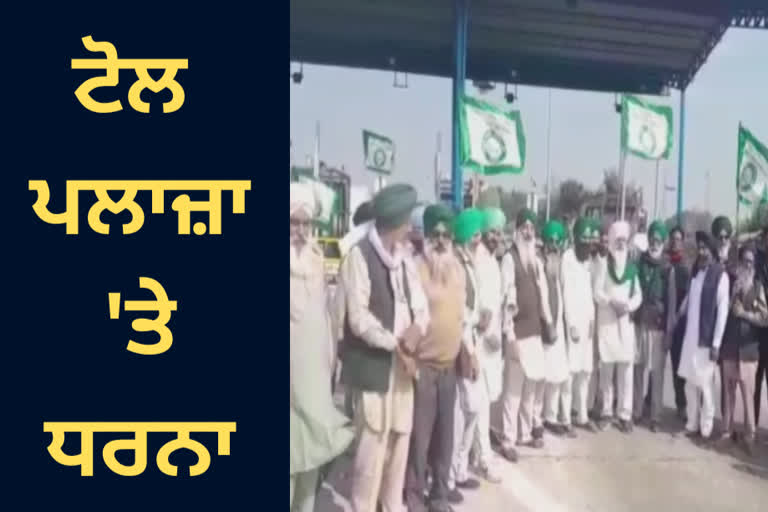 At Patiala farmers staged a dharna at the toll plaza