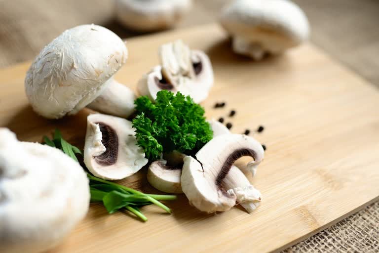 Mushrooms News