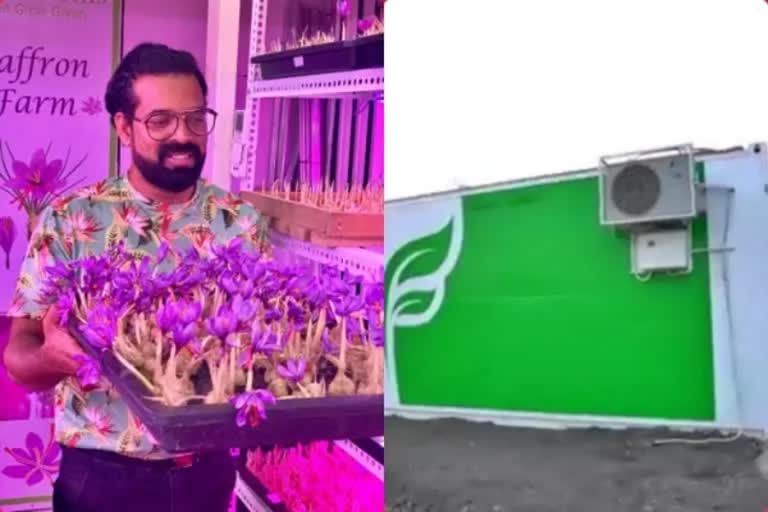 Saffron  Saffron Cultivated in Container  Software Engineer  Shailesh Modak  Nasik  ഇച്ഛാശക്തി  സ്വര്‍ണം  എഞ്ചിനീയര്‍  കുങ്കുമപ്പൂവ്  കുങ്കുമ  കണ്ടയ്‌നറില്‍  കശ്‌മീരിലെ പാംപോറില്‍  സോഫ്‌റ്റ്‌വയർ  പൂനെ  ശൈലേഷ്