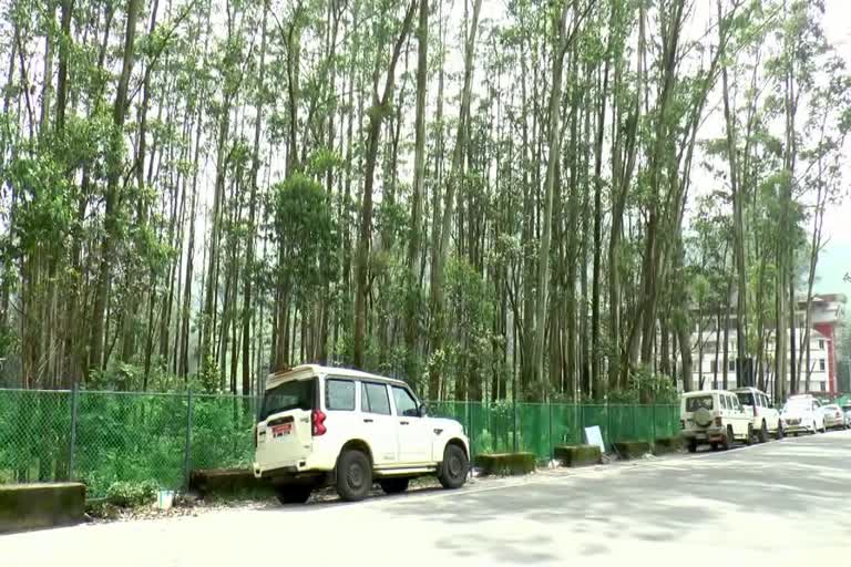 Entry banned to Munnar s Grandis Garden  Grandis Garden  Grandis plantation  Grandis plantation in munnar  സഞ്ചാരികള്‍ക്ക് പ്രവേശന വിലക്ക്  വേലി കെട്ടി ഗ്രാന്‍ഡിസ് തോട്ടം  പ്രവേശനം നല്‍കുക സര്‍ക്കാറിന്‍റെ ഉത്തരവ് പ്രകാരം  സര്‍ക്കാറിന്‍റെ ഉത്തരവ്  മാലിന്യ നിക്ഷേപം  കെഎസ്‌ആര്‍ടിസി ഡിപ്പോ  മൂന്നാറിലെ ഗ്രാന്‍ഡിസ് തോട്ടം  വിനോദ സഞ്ചാരികള്‍  ഇടുക്കി വാര്‍ത്തകള്‍  ഇടുക്കി ജില്ല വാര്‍ത്തകള്‍  ഇടുക്കി പുതിയ വാര്‍ത്തകള്‍  kerala news updates  latest news in Idukki  Idukki news updates