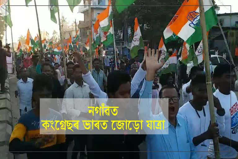 Bharat jodo yatra