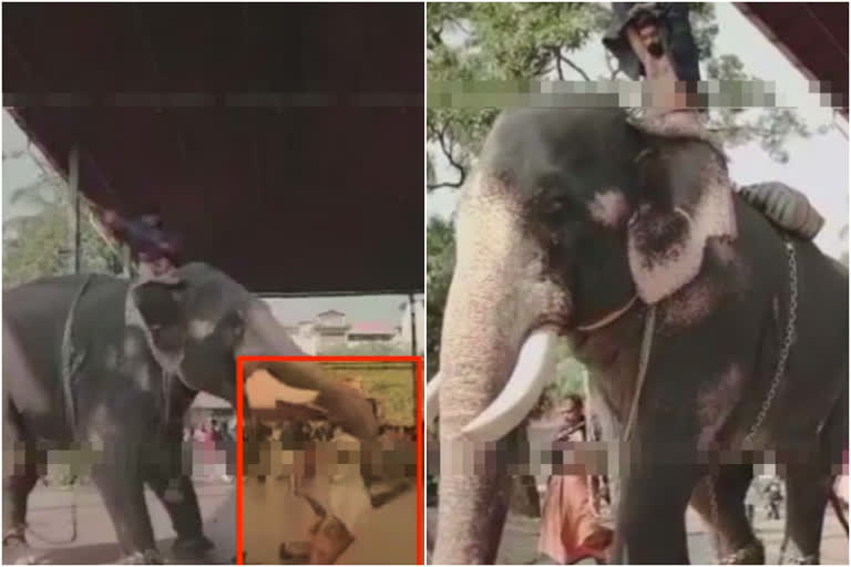 elephant attack  elephant attack during marriage photoshoot  guruvayoor marriage photoshoot elephant attack  വിവാഹ ഫോട്ടോഷൂട്ട്  ഗുരുവായൂര്‍  ഫോട്ടോഷൂട്ടിനിടെ ആന ഇടഞ്ഞു  നവദമ്പതികള്‍ക്ക് പിന്നില്‍ ആന ഇടഞ്ഞു  കോഴിക്കോട് വെഡിങ് മോയിറ്റോ