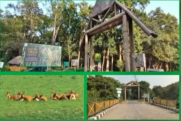 Dudhwa National Park